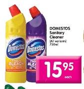 Domestos Sanitary Cleaner-750ml each