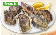 Fresh Oysters Each