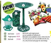 Bird Feeder