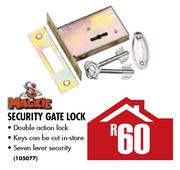 Security Gate Lock