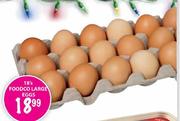 Foodco Large Eggs-18's