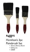 Hamilton's 3 Pc Paintbrush Set-25mm, 50mm, 75mm