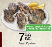 Fresh Oysters Each