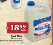 Aqua Cure Hi-Strength Hydrochloric Pool Acid-3L Each