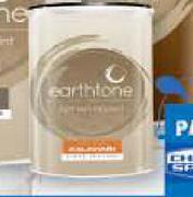 Earthtone Smooth & Rough Textured Paint-5 Ltr Each