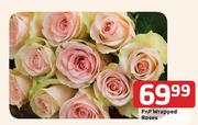 PnP Wrapped Roses