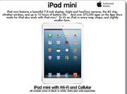 iPad Mini With Wi-Fi And Cellular-32GB Each