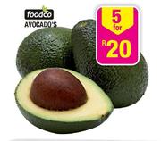 Foodco 5 Avocado's