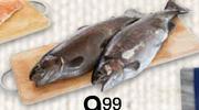 Fresh Rainbow Trout-100g