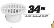 Gully Head And Grate