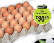 Foodco Large Eggs-30's