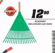 Academy Millenium Leaf Rake
