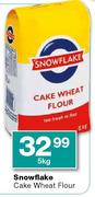Snowflake Cake Wheat Flour-5kg