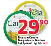 Blossom Canola Margarine or Medium Fat Spread-1kg Tub Each