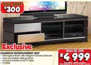 Cameron Entertainment Unit