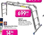 Gravity Wonder Ladder