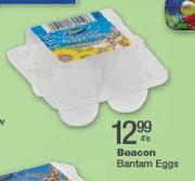 Beacon Bantam Eggs-4 Per Pack