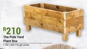 The Pole Yard Rough Plant Box 300 x 600