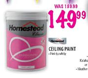 Homestead Ceiling Paint