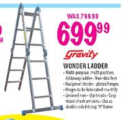 Gravity Wonder Ladder-Each