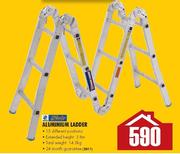 Gravity Aluminium Ladder
