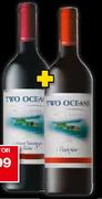 Two Oceans Pinot Noir Red-2 x 750ml