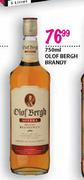 Olof Bergh Brandy-750ml