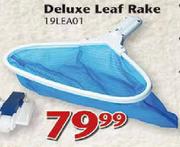 Deluxe Leaf Rake (19LEA01)