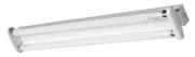Radiant Double Fluorescent