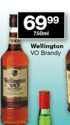 Wellington Vo Brandy-750ml