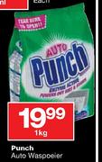 Punch Auto Waspoeier-1Kg