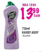 Handy Andy-750ml Each