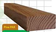 Pine PAR-3mX22mmX44mm