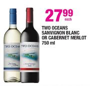 Two Oceans Sauvignon Blanc or Cabernet Merlot-750ml Each