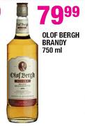 Olof Bergh Brandy-750ml