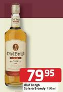 Olof Bergh Solera Brandy-750ml