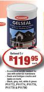 Plascon Gelseal-5L Each