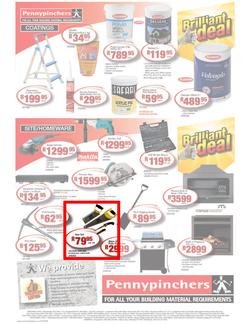 Pennypinchers : Brrrilliant winter deals (12 Jun - 29 Jun 2013), page 4
