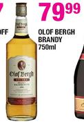 OLOF Bergh Brandy-750ml