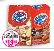 Golden Cloud Muffin or Scone Mix Assorted-1kg each