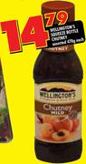 Wellington's Squeeze Bottle Chutney Assorted-470g