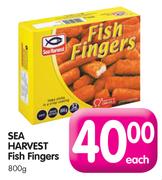 Sea Harvest Fish Fingers-800gm