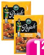 Rajah Curry Powder Envelope-7g