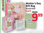 Mother's Day Gift Bag Assorted-Each