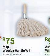 Academy Mop Wooden Handle W4