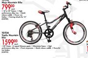 Totem Tracks Mountain Bike Each