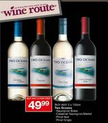 Two Oceans sauvignon Blanc/Cabernet Sauvignon/Merlot/Pinot Noir/Pinot Grigic-2x750ml