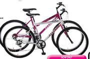 Totem Ladies Or Mens XC100 Mountain Bike