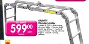 Gravity Wonder Ladder