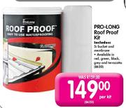 Pro-Long Roof Proof Kit-Per Kit